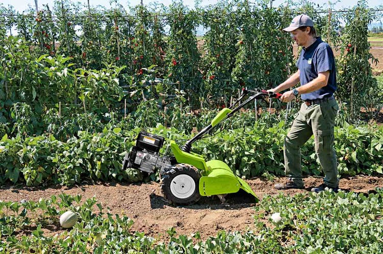 Mann bei der Arbeit auf Obstplantage mit Grillo G 45 Einachser