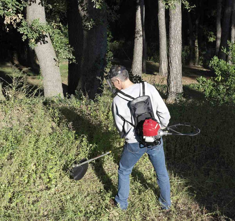 Mann mäht an Waldböschung mit Honda UMR 435 T Freischneider