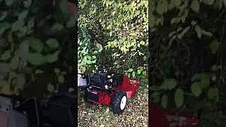 Video Toro BRC-28 Gestrüppmäher auf Youtube