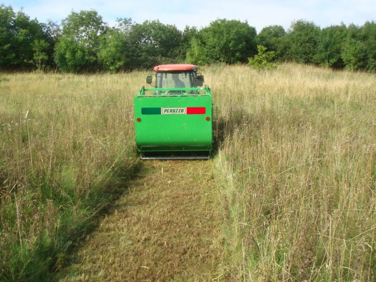 Peruzzi Panther Professional Anbaugerät beim Mähen von hohem Gras