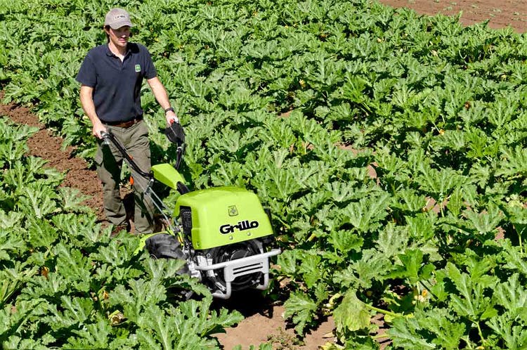 Grillo G 131 Profi-Einachser in Feld