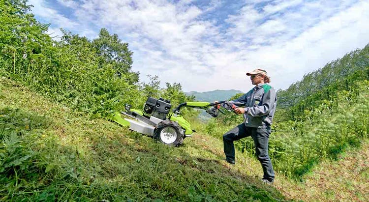 Mann mäht am Hang mit Grillo Profi-Hochgrasmäher CL 75